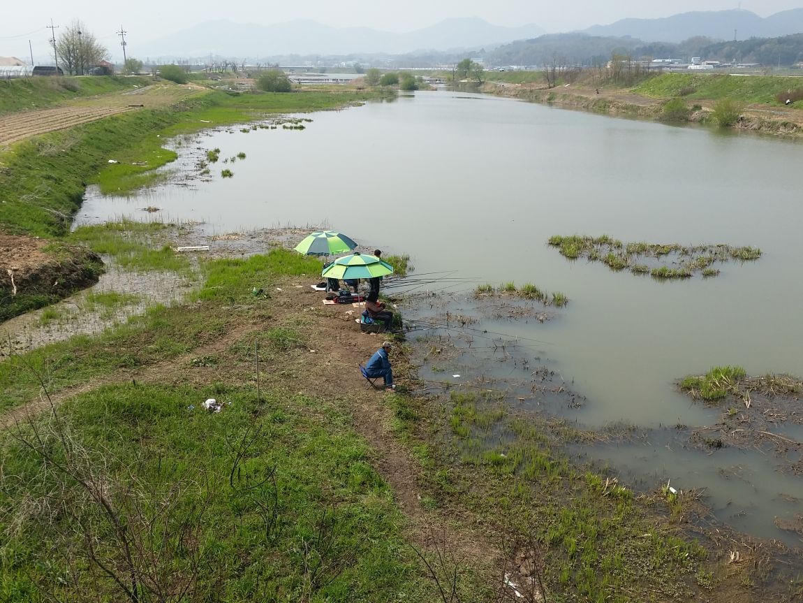 20150422_141406.jpg