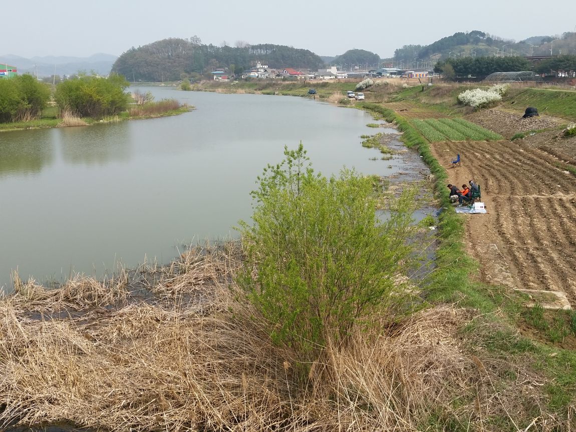 20150422_141427.jpg