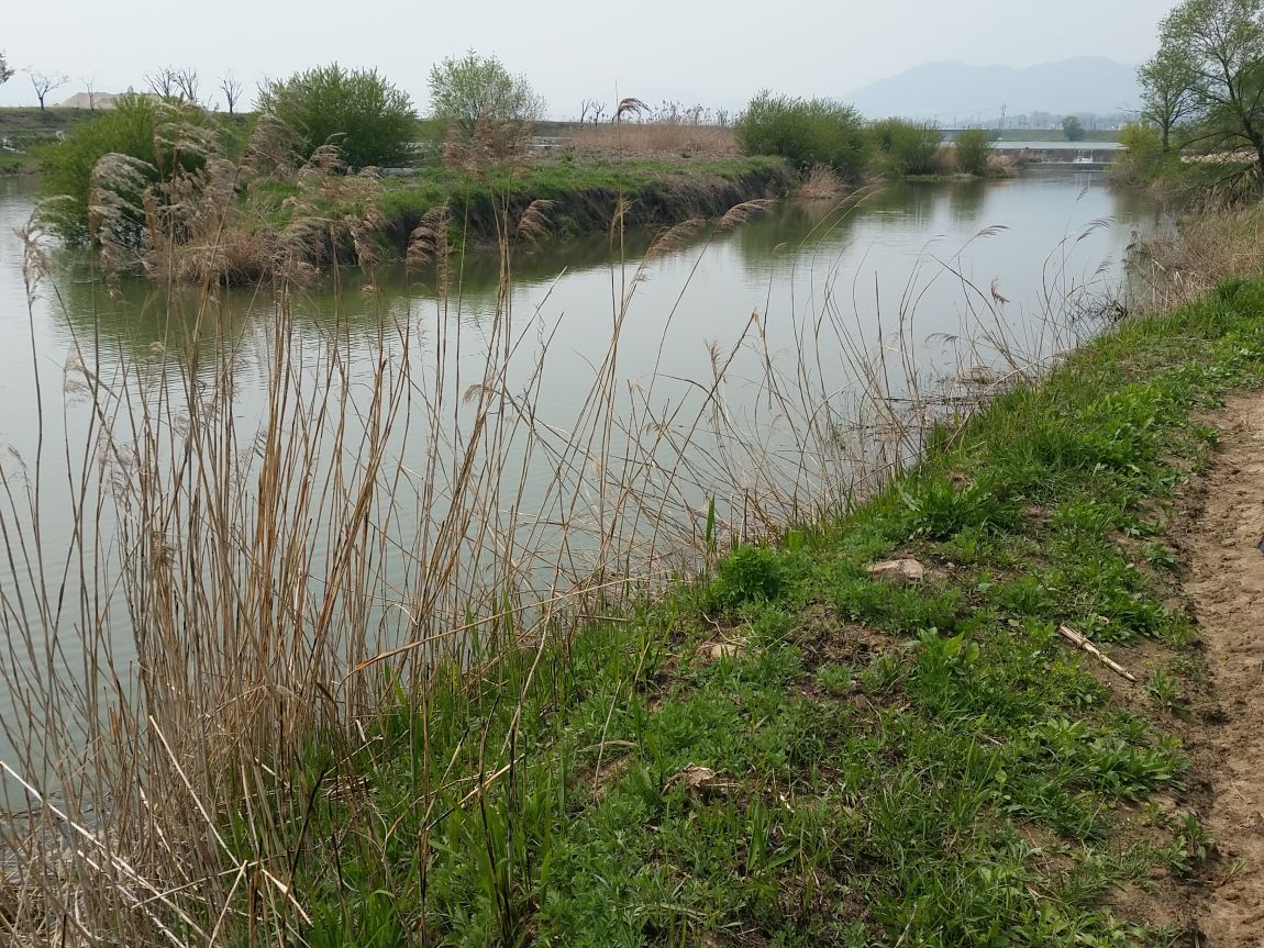 20150422_141835.jpg