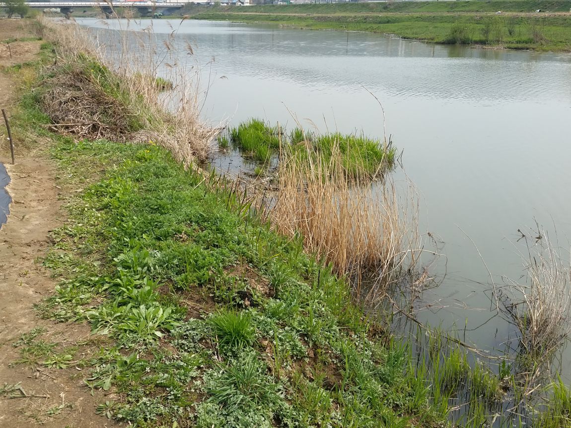 20150422_141844.jpg