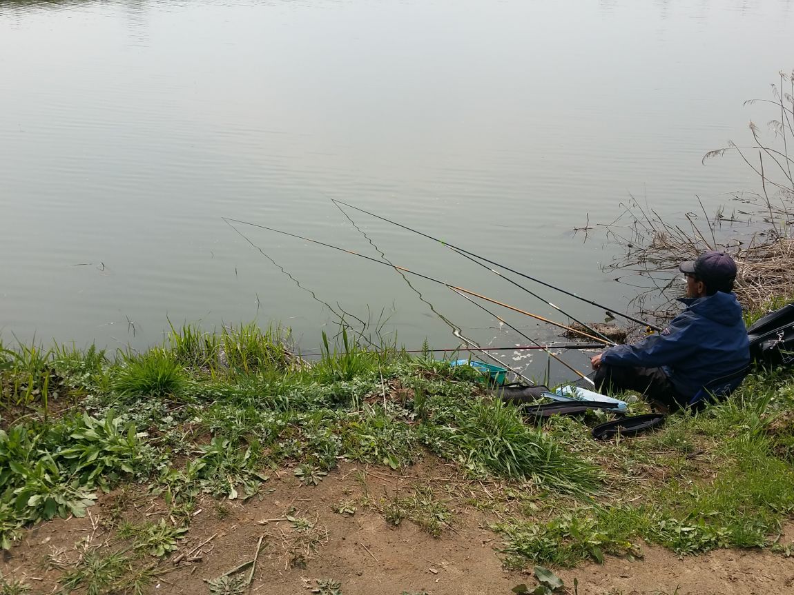 20150422_141901.jpg