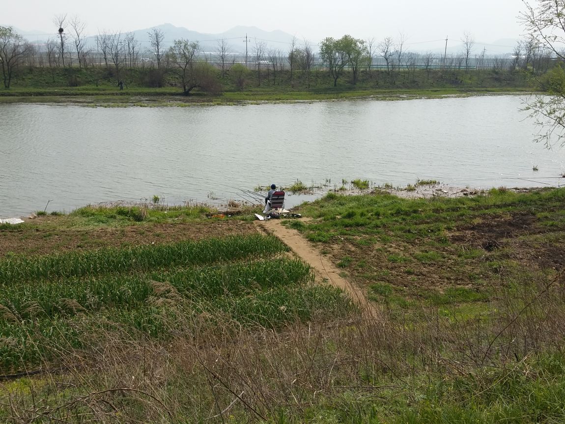 20150422_142508.jpg