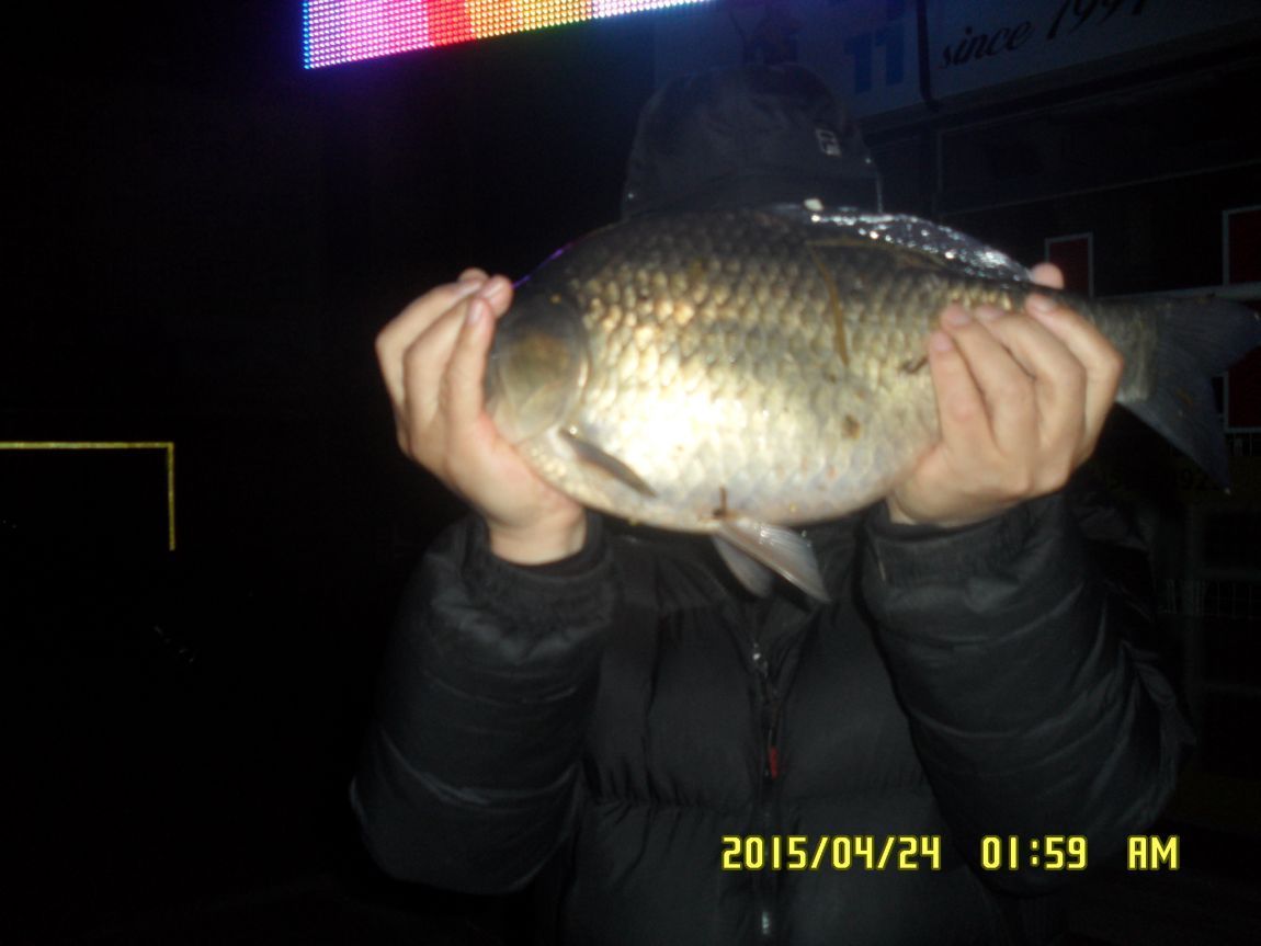 SAM_1134.JPG