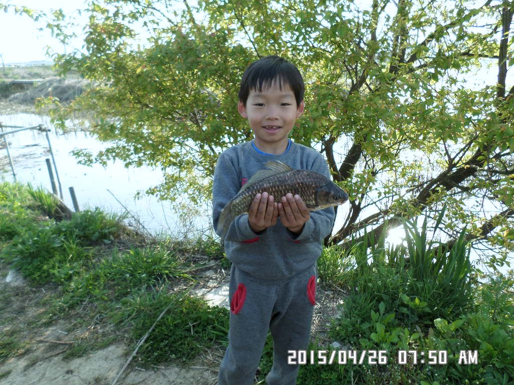SAM_0247.JPG