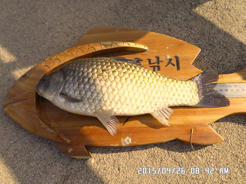 SAM_0254.JPG
