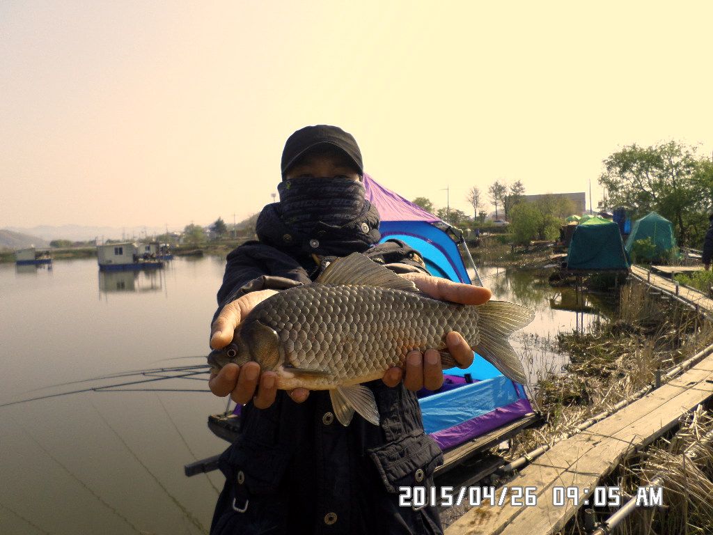 SAM_0257.JPG