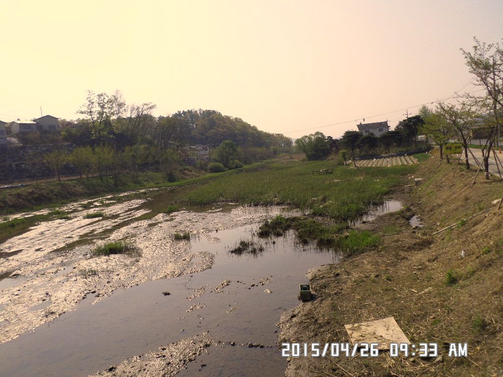 SAM_0259.JPG
