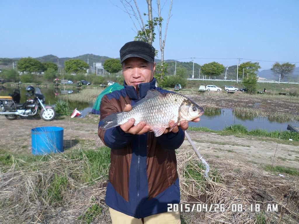 SAM_0250.JPG