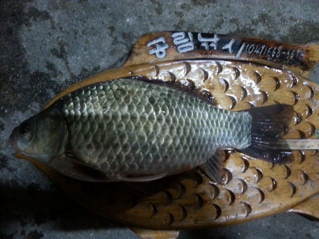 ũ�⺯ȯ_20150427_193512.jpg