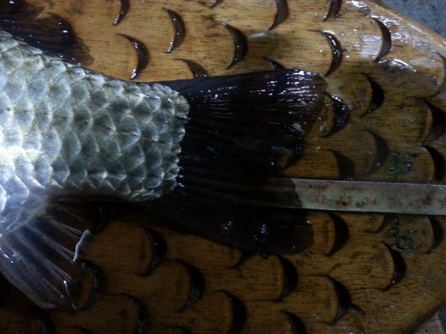 ũ�⺯ȯ_20150427_193520.jpg