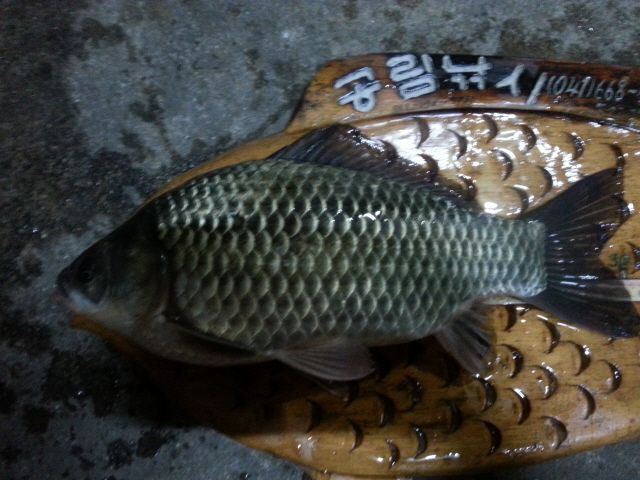 ũ�⺯ȯ_20150427_193529.jpg
