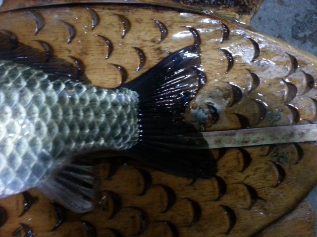 ũ�⺯ȯ_20150427_193533.jpg