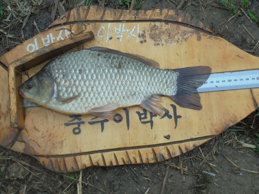 ũ�⺯ȯ_027.JPG