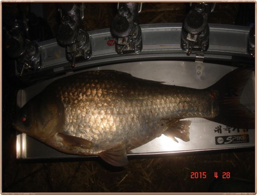 �ٹ̱�_���� 002.jpg