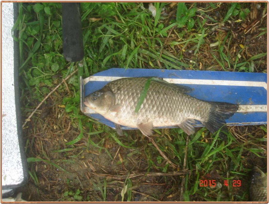 �ٹ̱�_���� 010.jpg