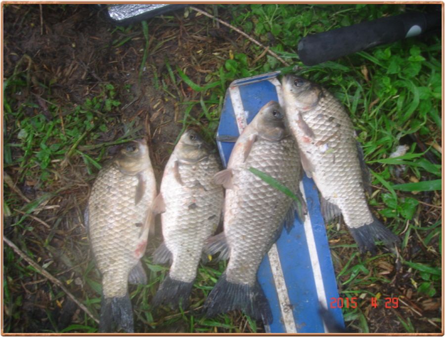 �ٹ̱�_���� 011.jpg