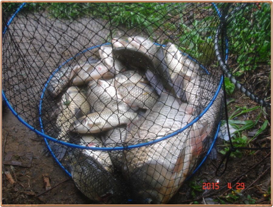 �ٹ̱�_���� 008.jpg