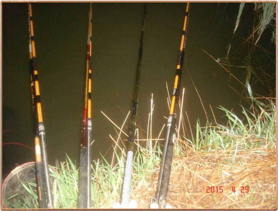 �ٹ̱�_���� 014.jpg