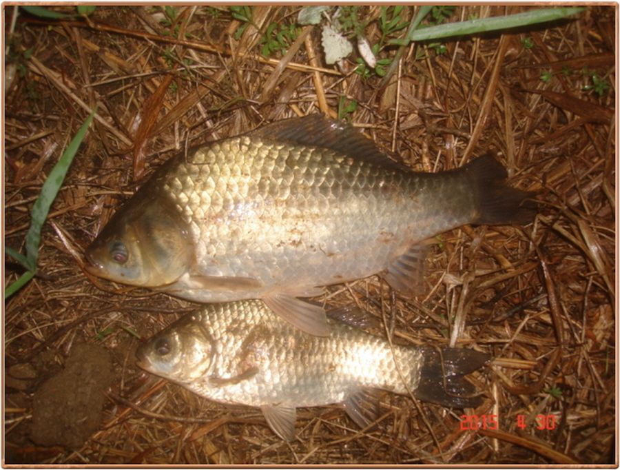 �ٹ̱�_���� 015.jpg