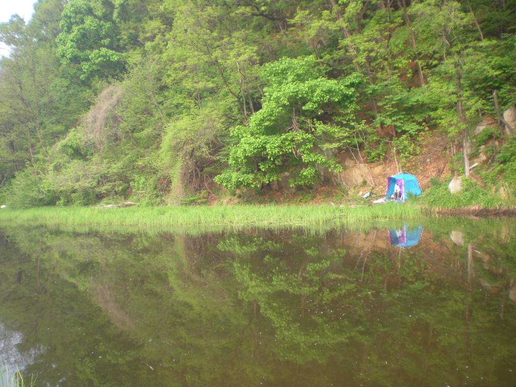 DSCN6482.JPG