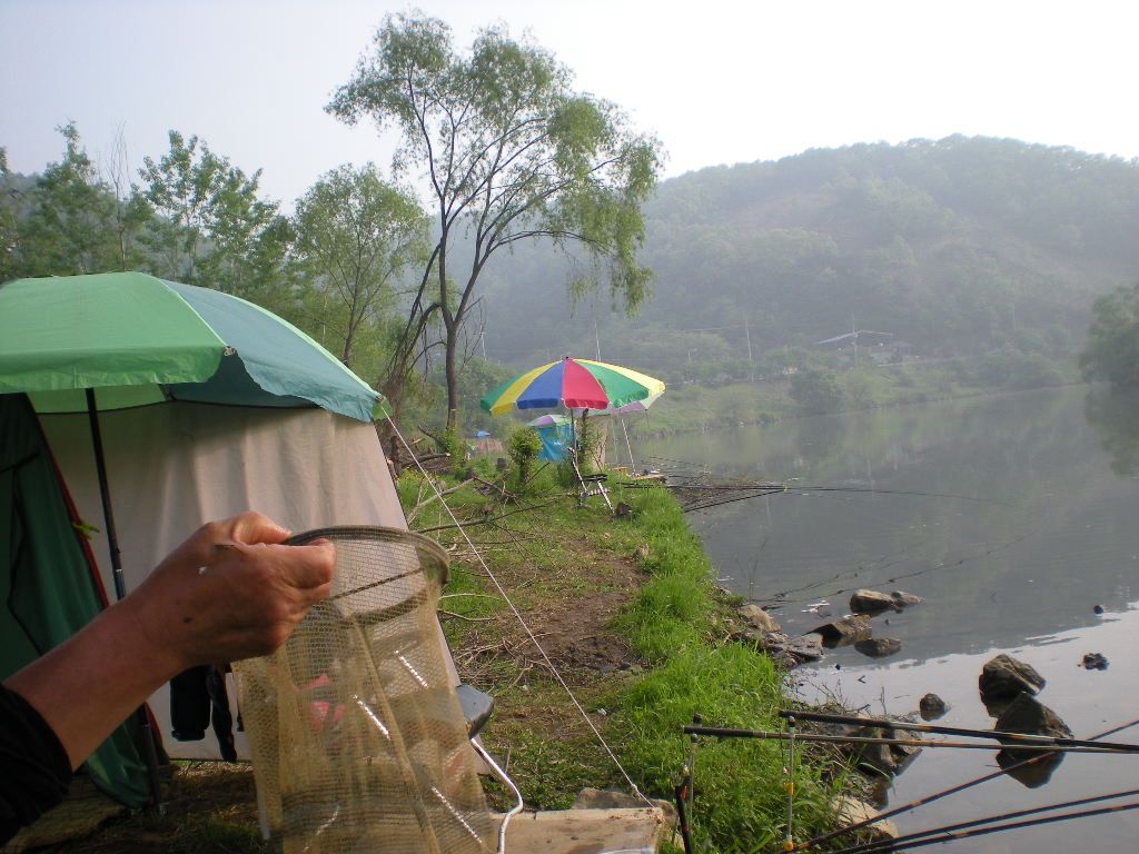 DSCN6486.JPG