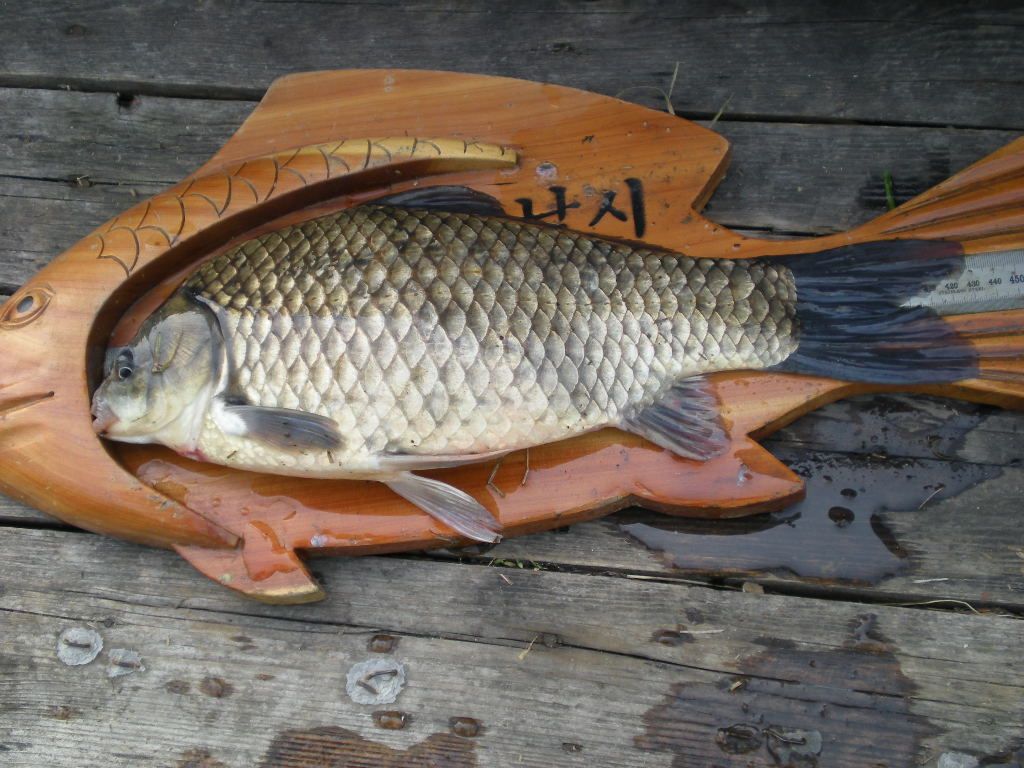DSCN6495.JPG