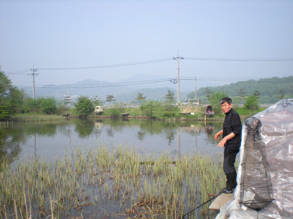 DSCN6501.JPG