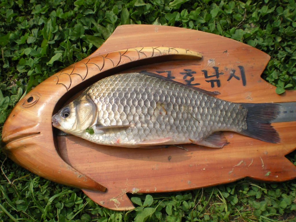 DSCN6507.JPG