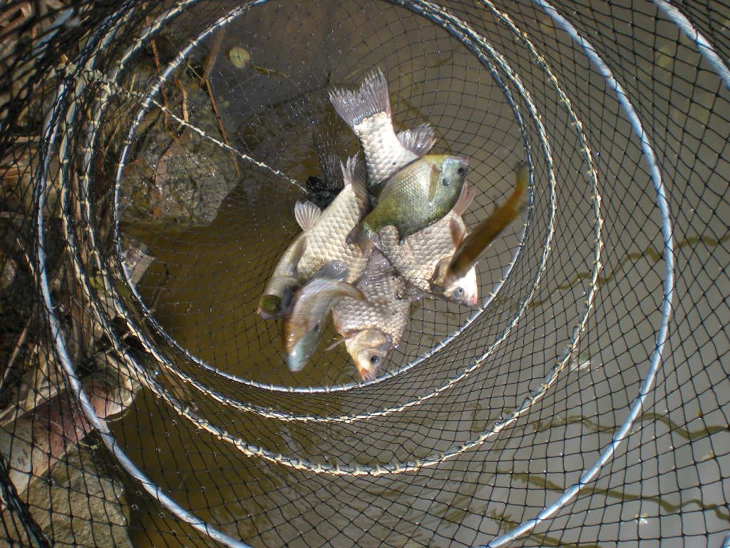 DSCN6514.JPG