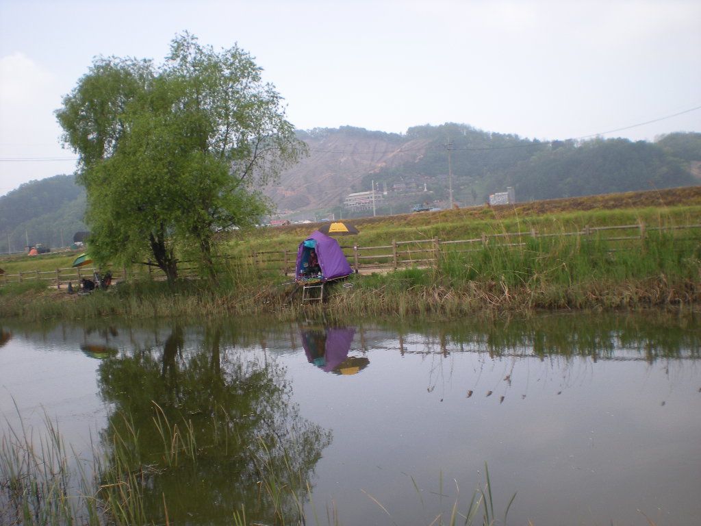 DSCN6530.JPG