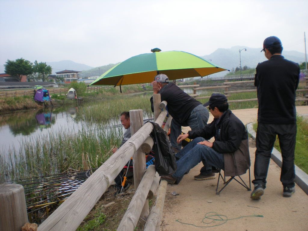 DSCN6529.JPG