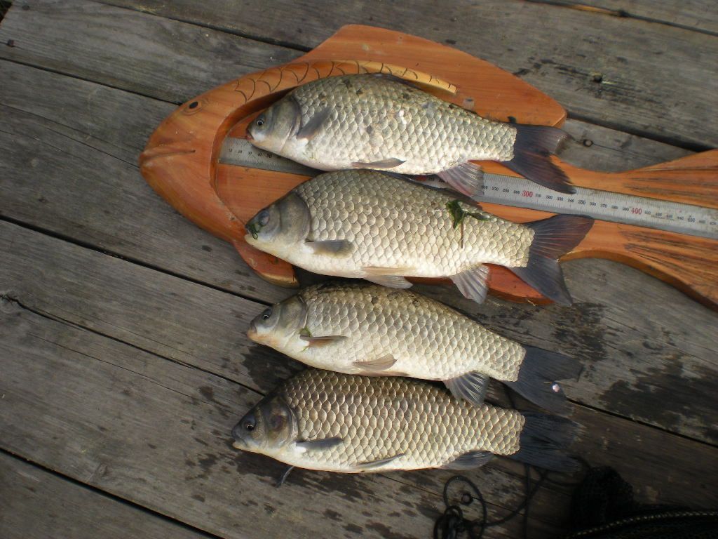 DSCN6519.JPG