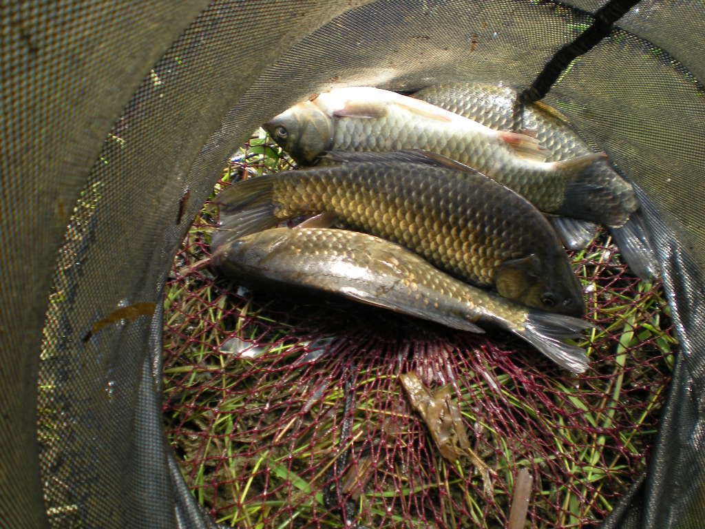 DSCN6522.JPG