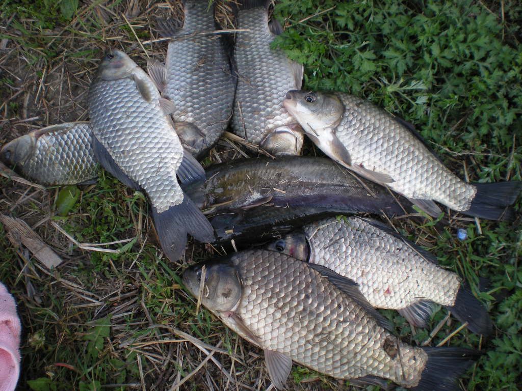 DSCN6534.JPG