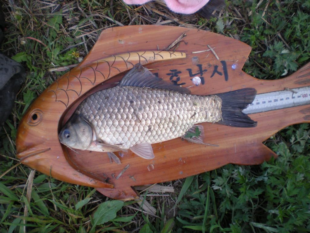 DSCN6535.JPG