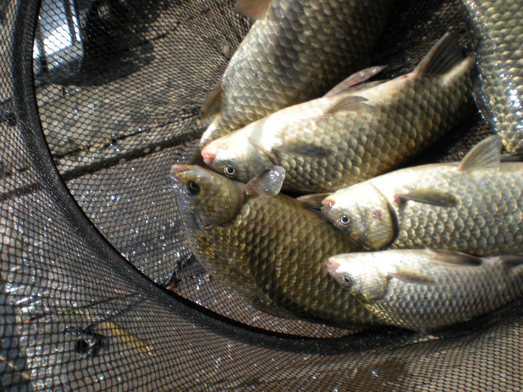 DSCN6538.JPG