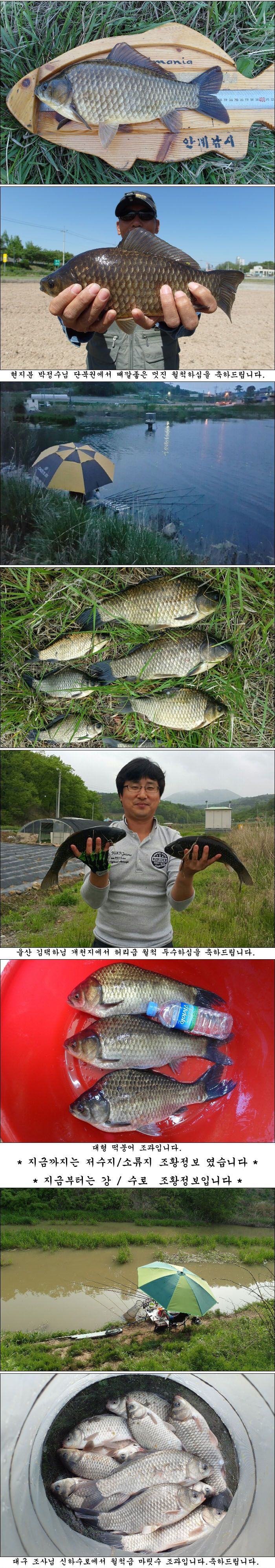 150507.jpg