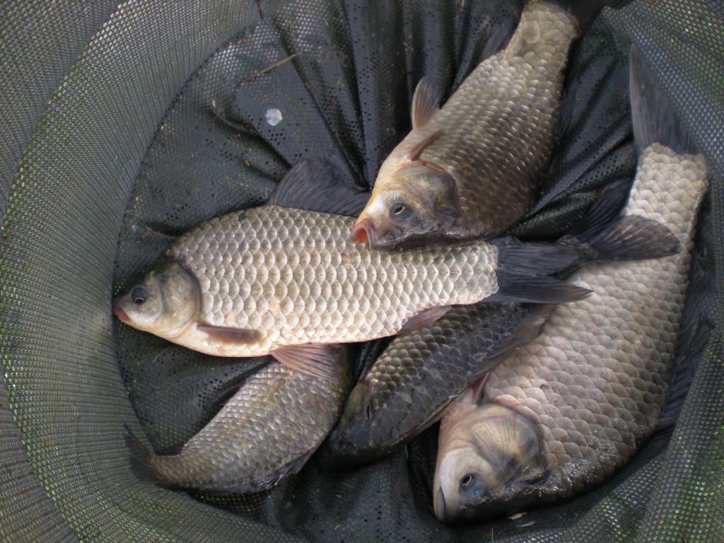 DSCN6571.JPG