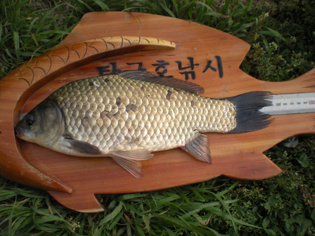 DSCN6569.JPG