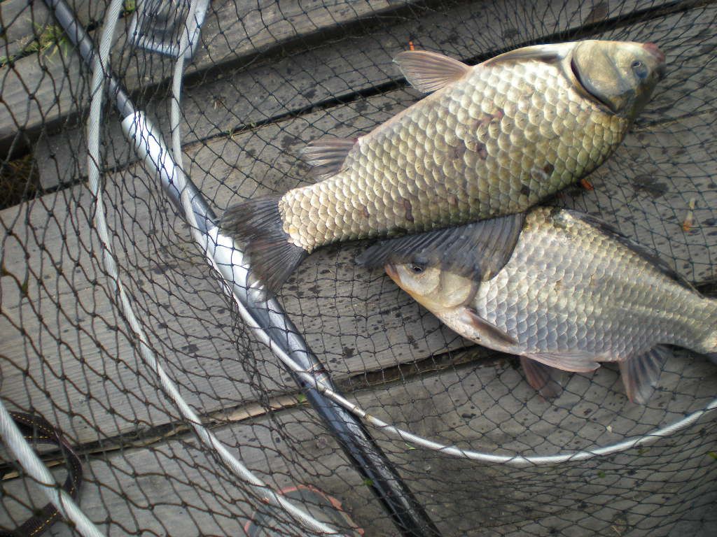 DSCN6568.JPG