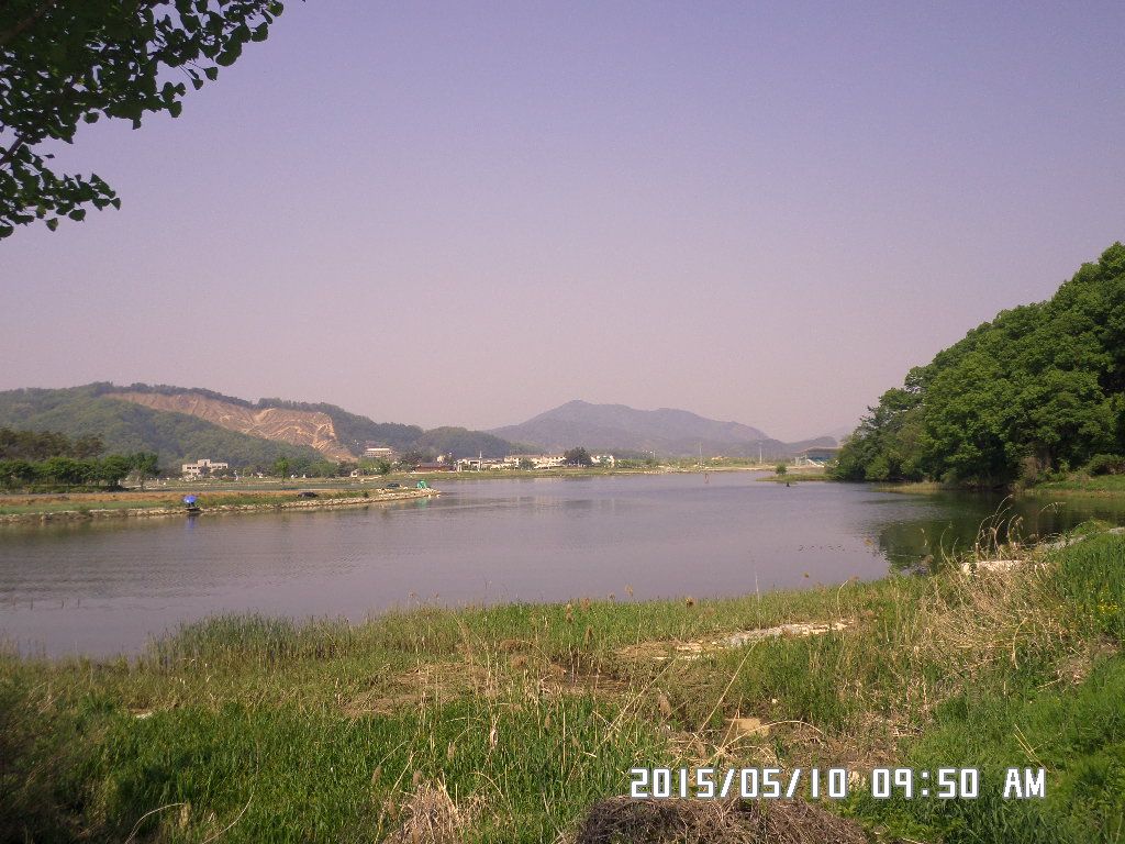 SAM_0460.JPG