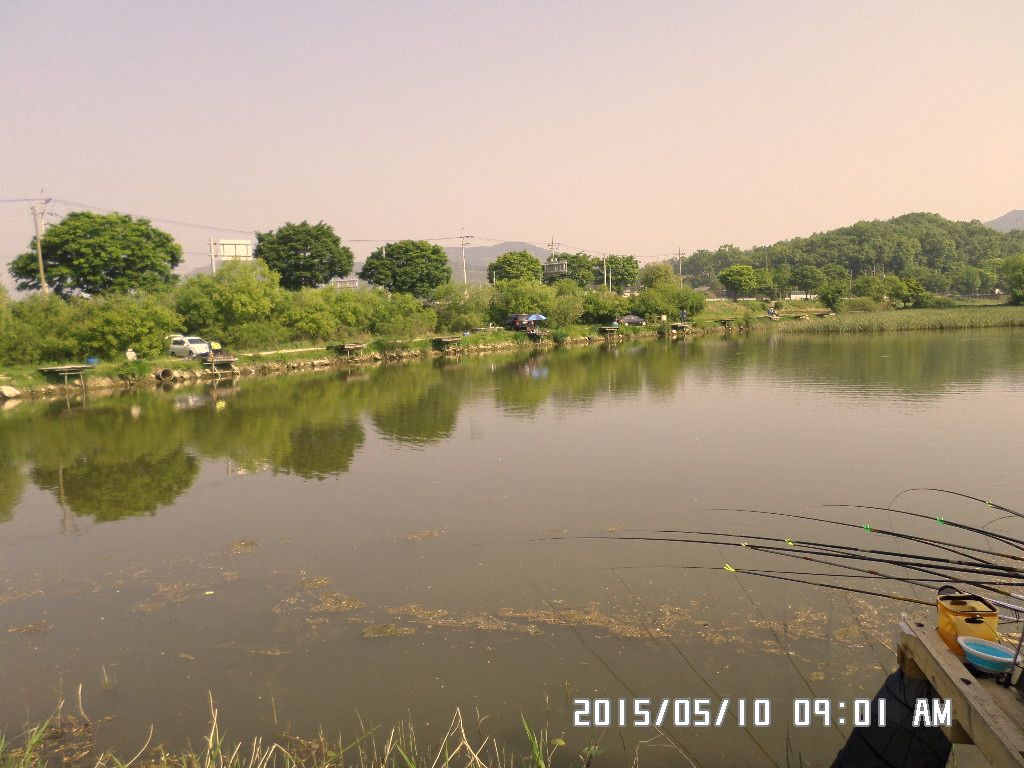 SAM_0455.JPG