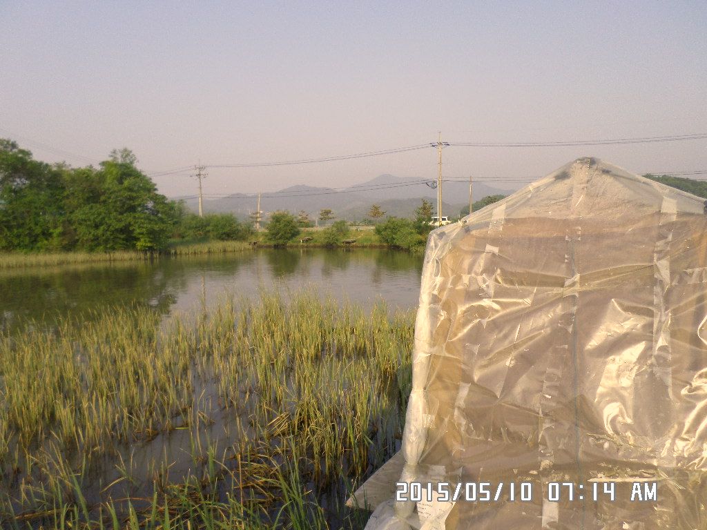 SAM_0435.JPG