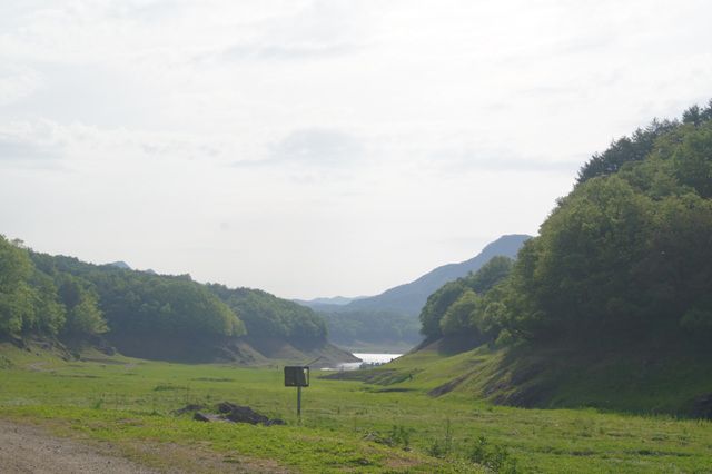 DSC03523.jpg