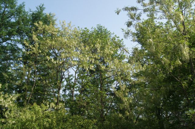 DSC03534.jpg