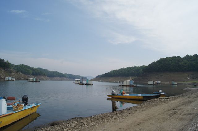 DSC03553.jpg