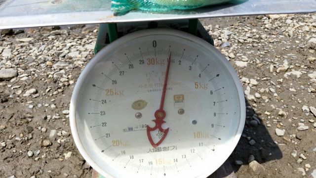 1431838186158.jpg