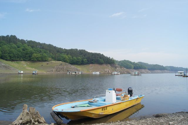 DSC03554.jpg
