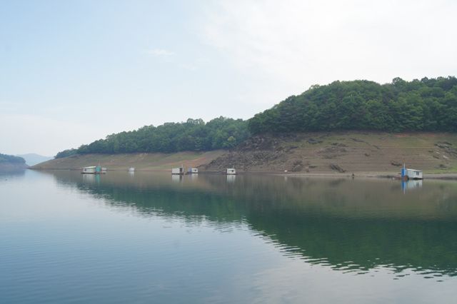 DSC03558.jpg