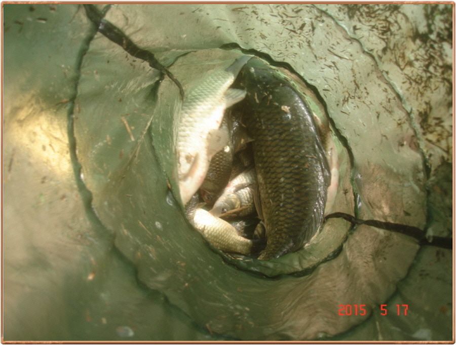 �ٹ̱�_���� 006.jpg